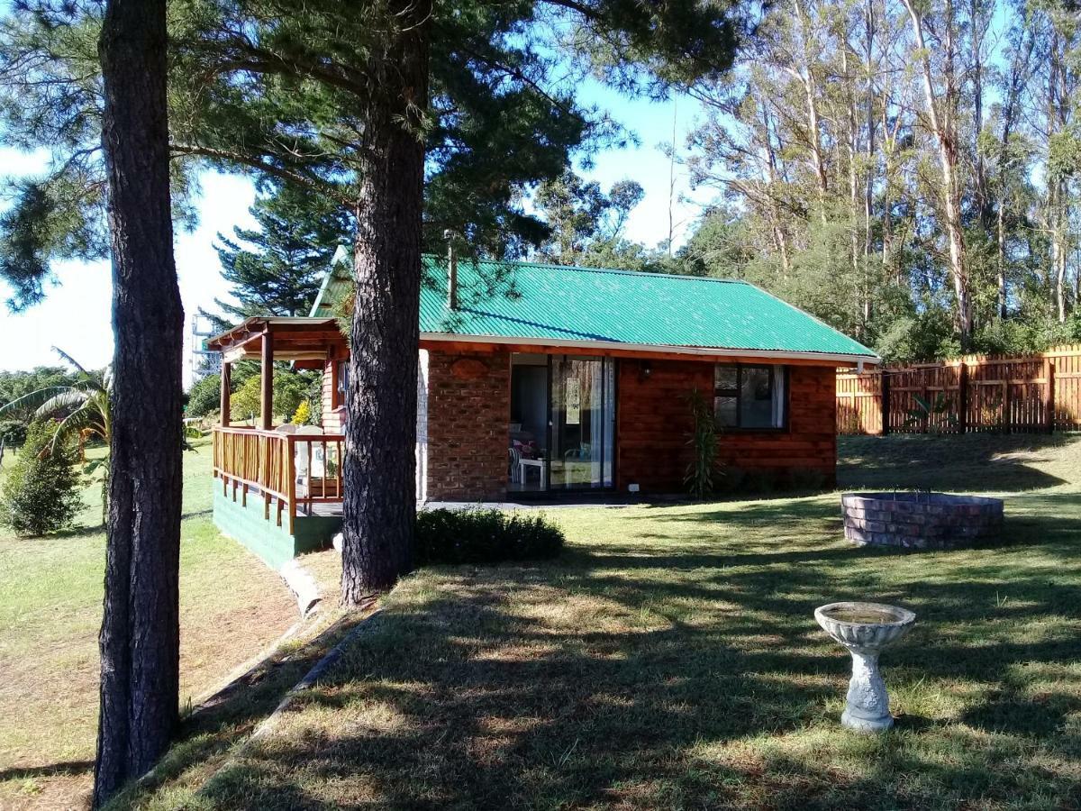 סדג'פילד Wild Fig Cottage מראה חיצוני תמונה