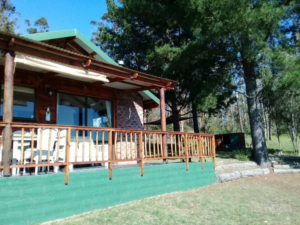 סדג'פילד Wild Fig Cottage מראה חיצוני תמונה