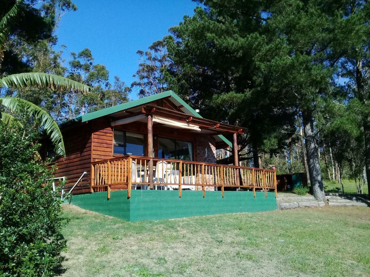 סדג'פילד Wild Fig Cottage מראה חיצוני תמונה