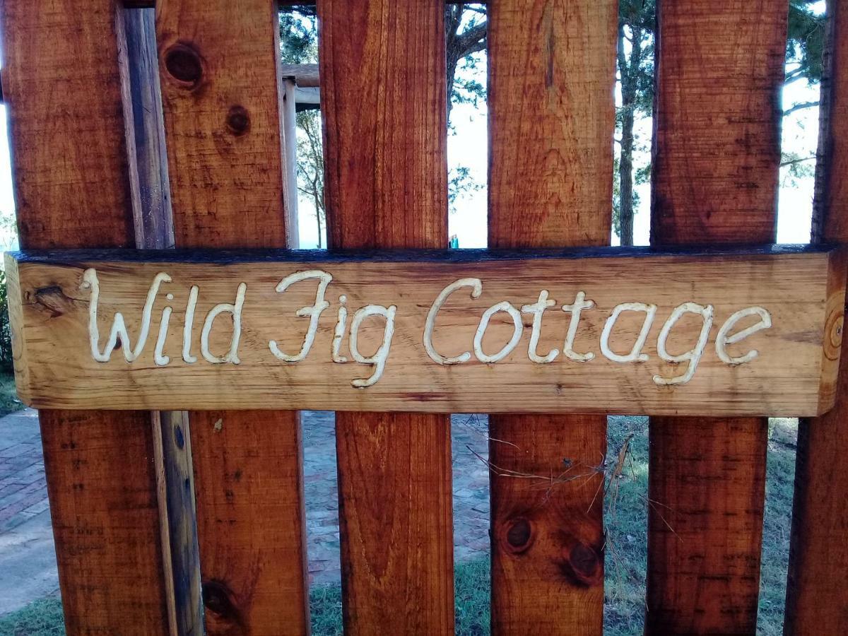סדג'פילד Wild Fig Cottage מראה חיצוני תמונה
