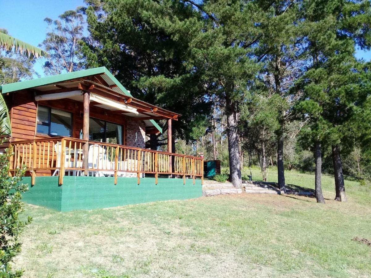 סדג'פילד Wild Fig Cottage מראה חיצוני תמונה